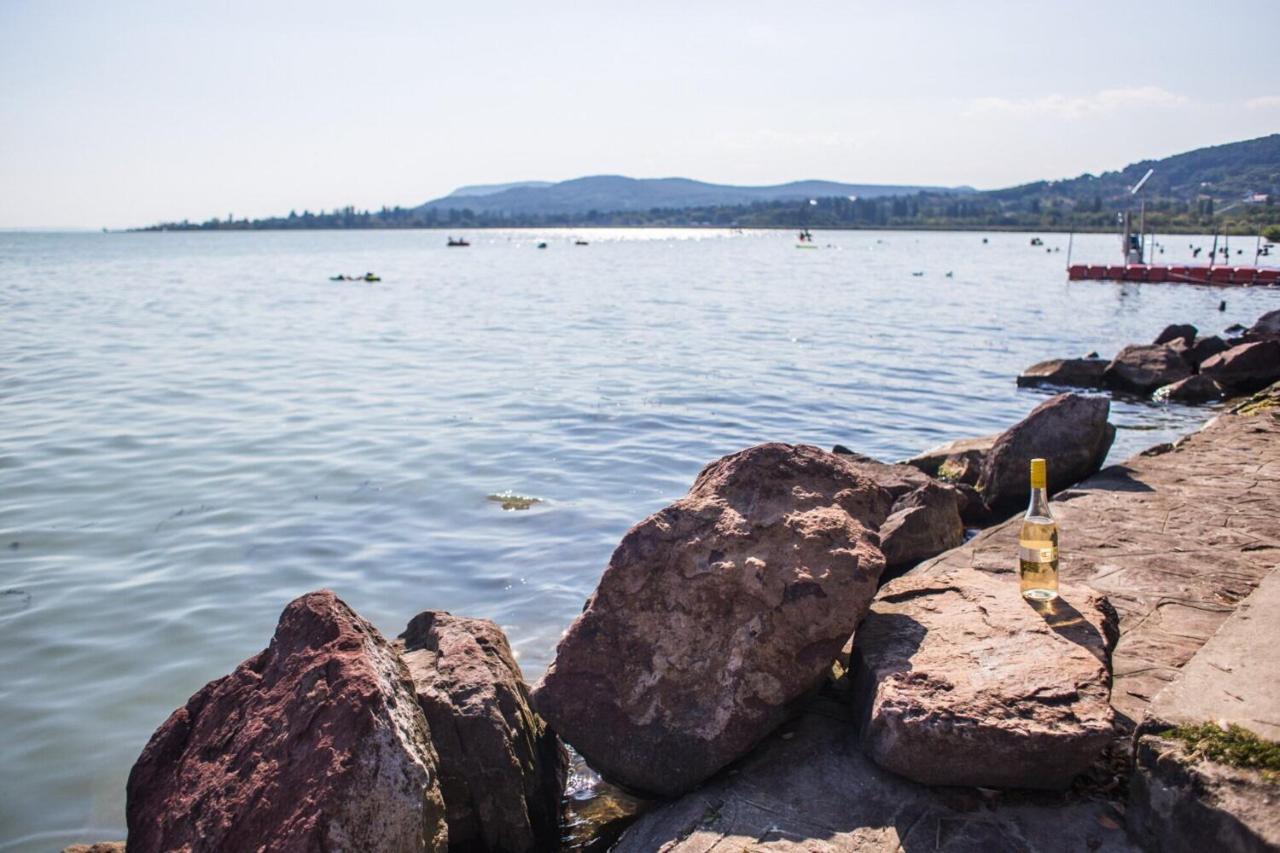 Balaton Wellness Tom Cat Nyaralo 1 Wellness Es 1 Gyermekbarat Apartmannal Kovagoors Eksteriør bilde